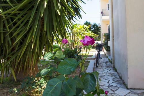 Oliva Holiday Homes Boho Studio