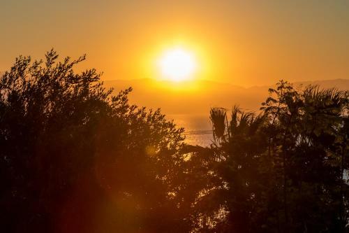 Ionian Garden Villas - Villa Sol