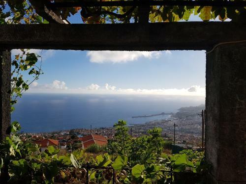 Apartamento City View Gardens II