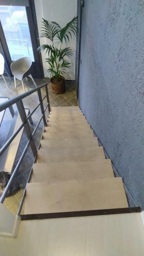 Marilia Apartment