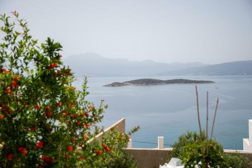 Apartamento Miracle View Villas