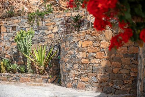 Apartamento Miracle View Villas