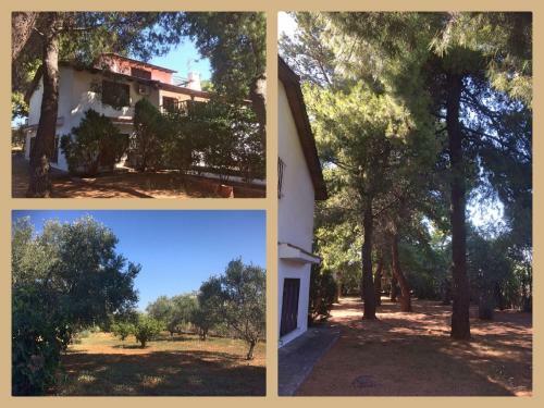 Seaside Villa In Alikes, Chalkida