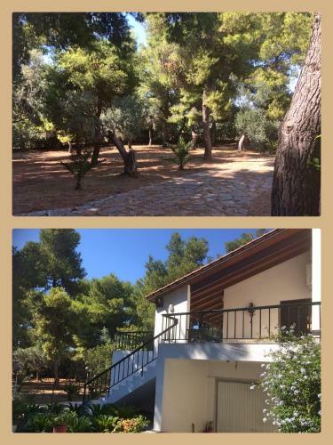 Seaside Villa In Alikes, Chalkida