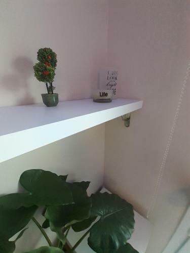 Apartamento Studiosbank Gal H