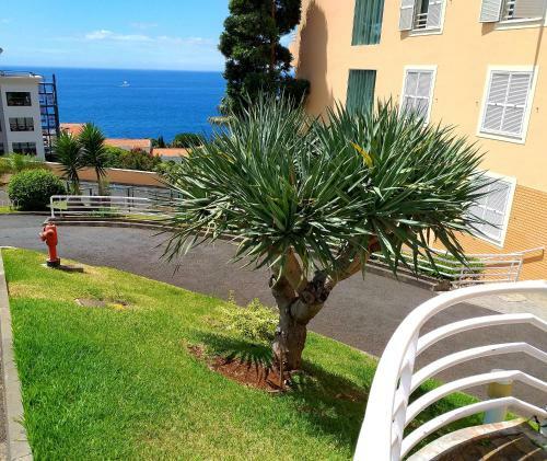 Apartamento Lido Belissimo