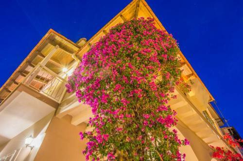 Apartamento Villa Emily Zakynthos
