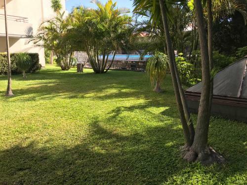 Funchal Apartment, With Pool