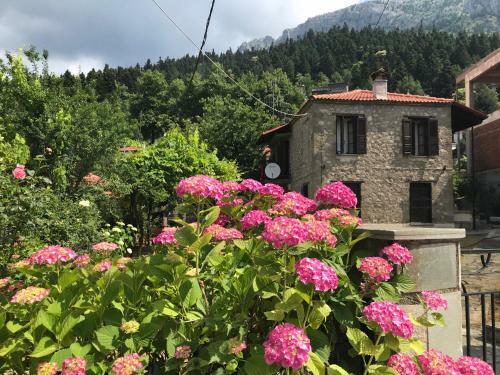 Villa Traditional Stone House