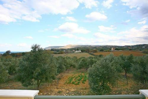 Olive Tree Farm 200m From The Beach