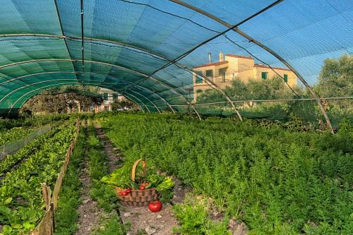 Apartamento Malena Organic Farm