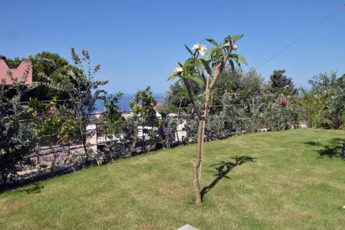 Villa Fos Kefalas Chania