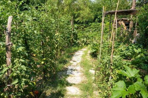 Roxani Farm At Lofos Kasta Village