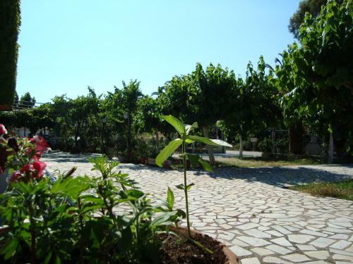 Amarandos Studios (rooms & Apartments)