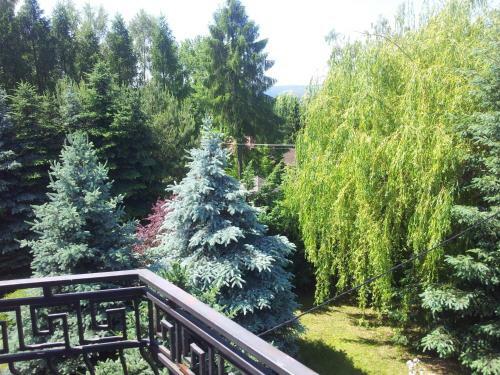 Agroturismo ?wierkowe Wzg�rze