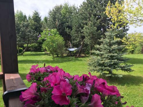 Agroturismo ?wierkowe Wzg�rze
