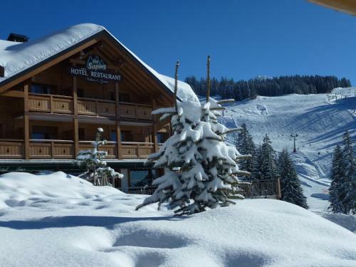 Hotel H�tel Restaurant "les Sapins" Wellness & Gourmet