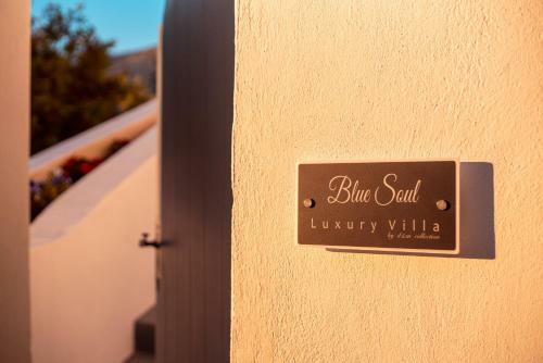 Blue Soul Luxury Villa