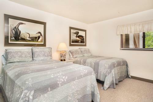 Pelicans Roost 102