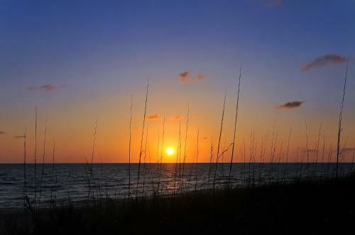 Walk To Beach, Restaurants, Shopping/hot Tub!
