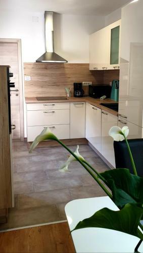 Apartman Ela