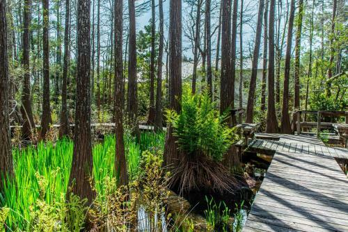 Cassine Gardens 272- Captain's Cove