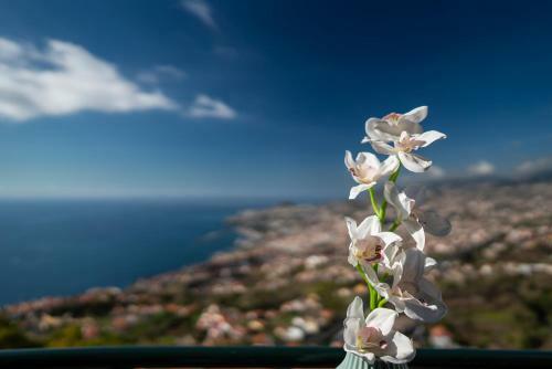 Apartamento Atlantic Ocean View By Hr Madeira