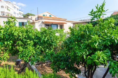 Sea And Lemon Tree Apartment