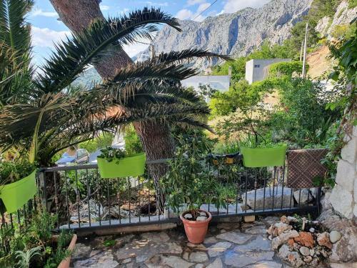 Apartments Jerkovi?-2bd