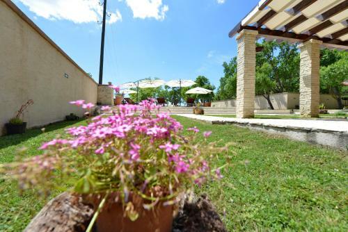 Villa Vila Green Oasis Miro