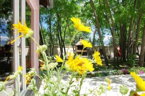 Villa Vila Green Oasis Miro