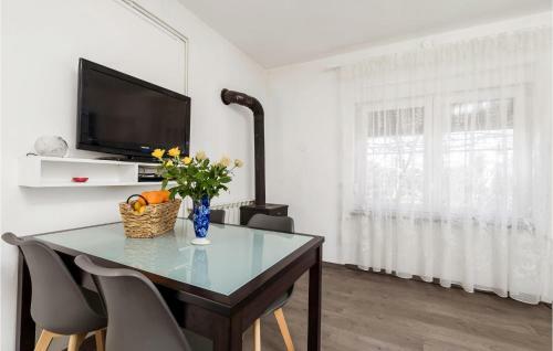 Awesome Apartment In Drazice With Wifi And 1 Bedrooms