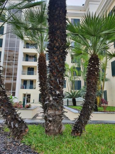 Apartamento Suncoast Residence V (free Parking)