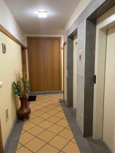 Ajuda Paradise Apartment With Pool And Private Parking