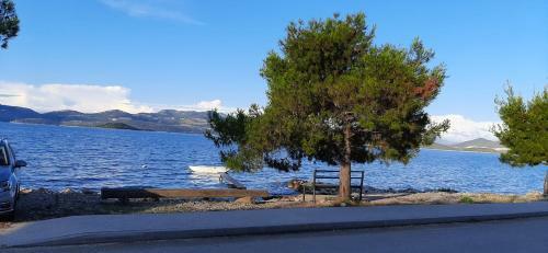 Apartmani Ola