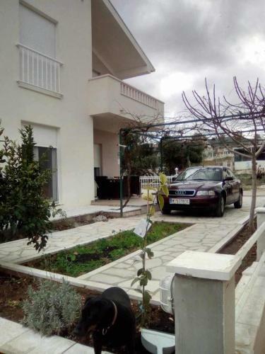 S&m Apartments