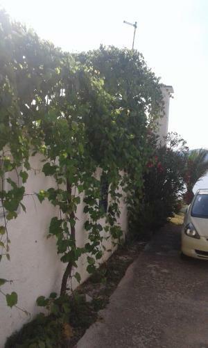 House Kapetan Nono