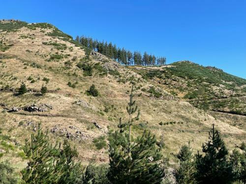 Mountain Eco Shelters