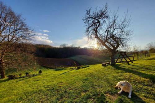 Child Friendly Rural House Jeka
