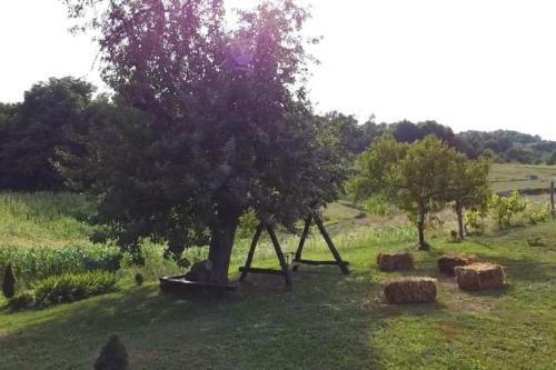 Child Friendly Rural House Jeka