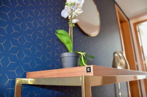 Bb Quinta S�o Jo�o Apartment