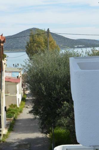 Apartamento Kelly's Beach Apts
