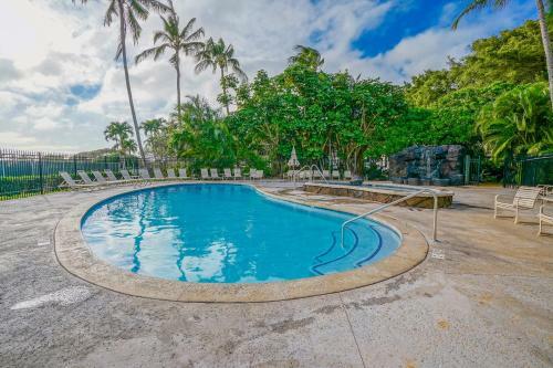 Kahala #322