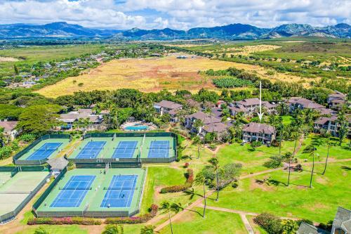 Kahala #322