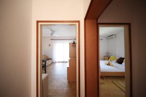 Apartmants Amor