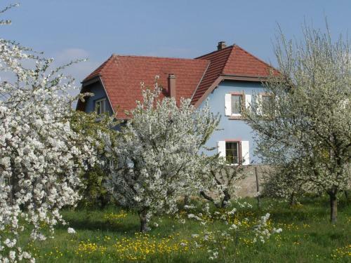 Apartamentos G�te Halmer