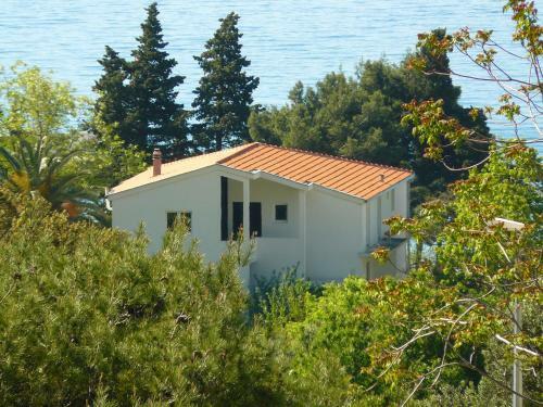 Apartamento Mimoza