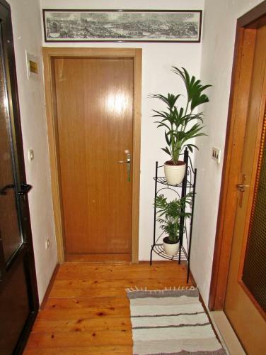 Apartamento Mimoza