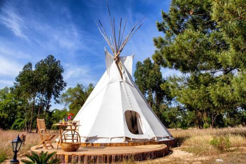 Goodmuda Tipi's