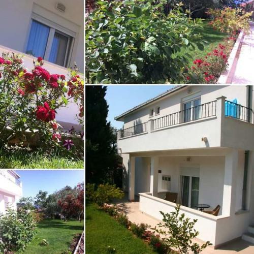 Hostal Villa Marki?